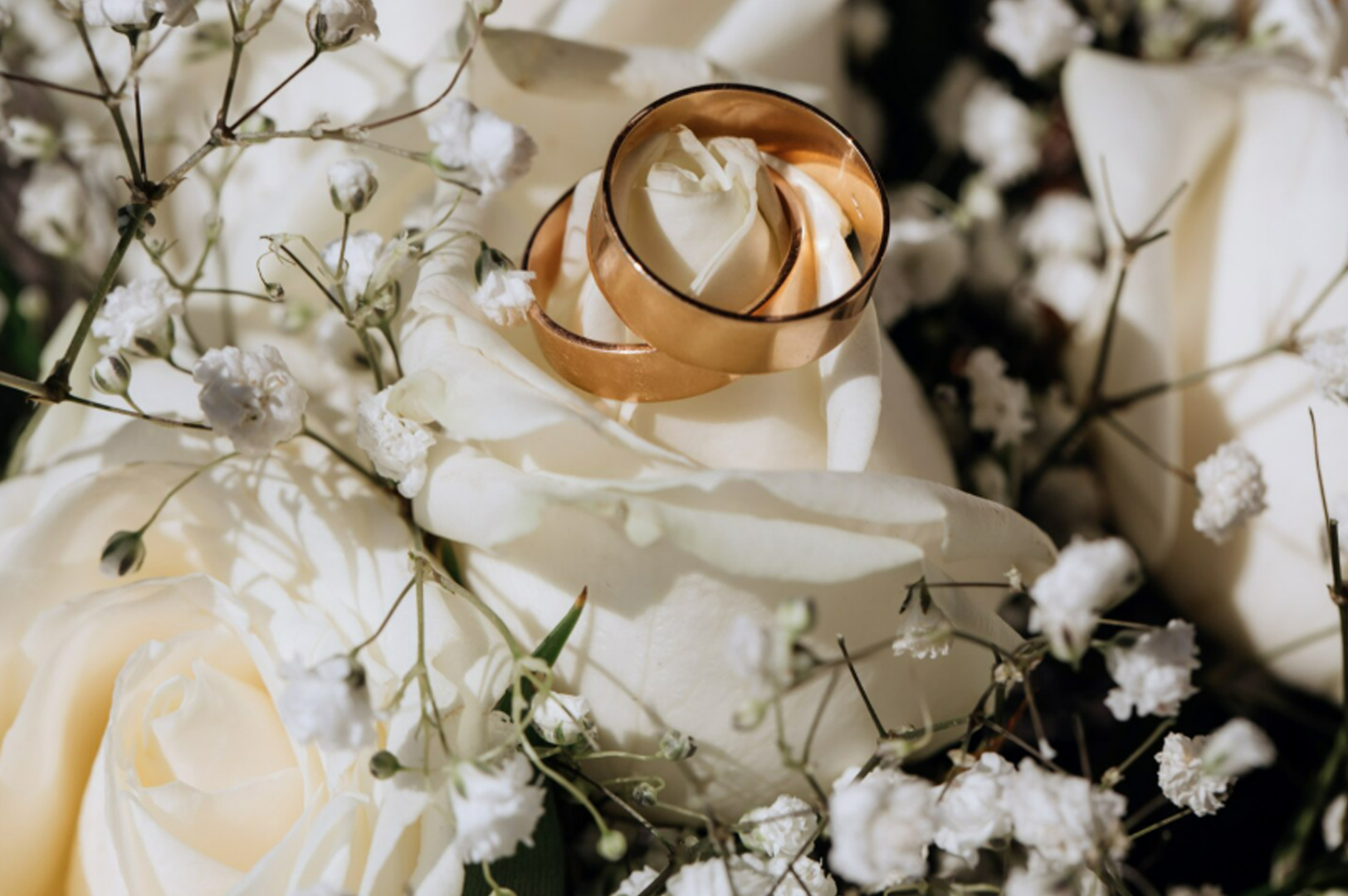 Ankara'da Düğün Eğlencesi